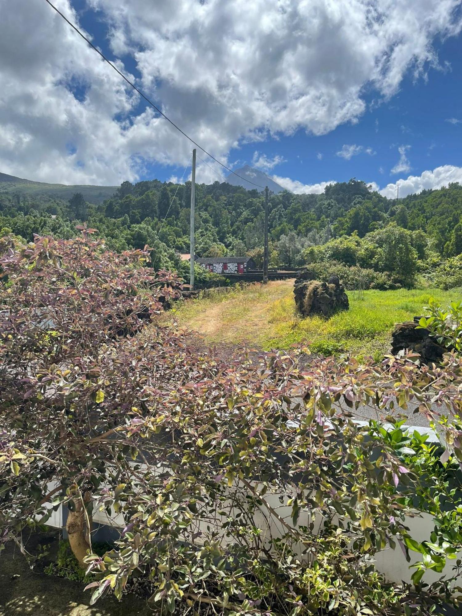 Residencias Requinte São Roque do Pico Exterior foto